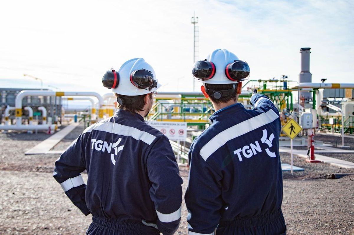 TGN proyecta un gasoducto y ampliaciones en el transporte por USD 2.200 millones desde Vaca Muerta
