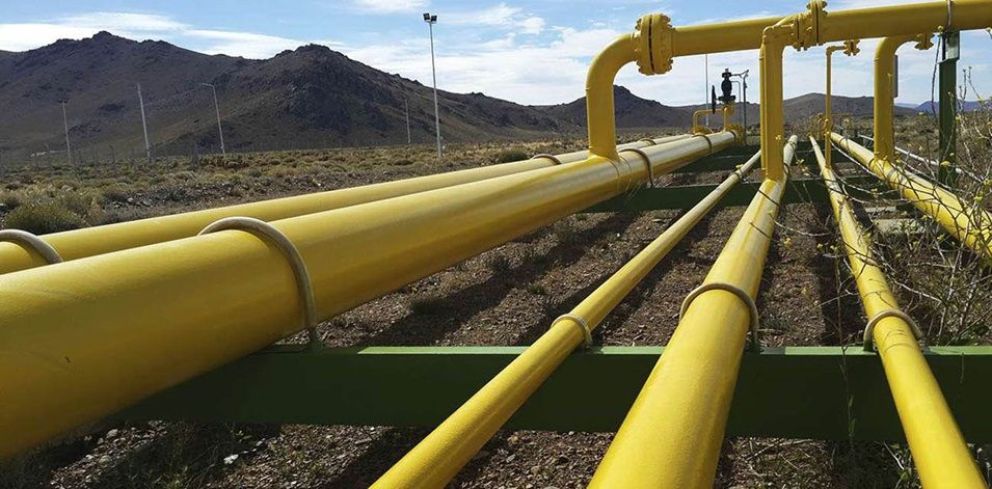 Mercado de carbono: el Senado avanza con un marco que apunta a generar US$ 4.800 millones anuales